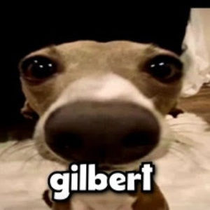 Meet your Posher, Fisher